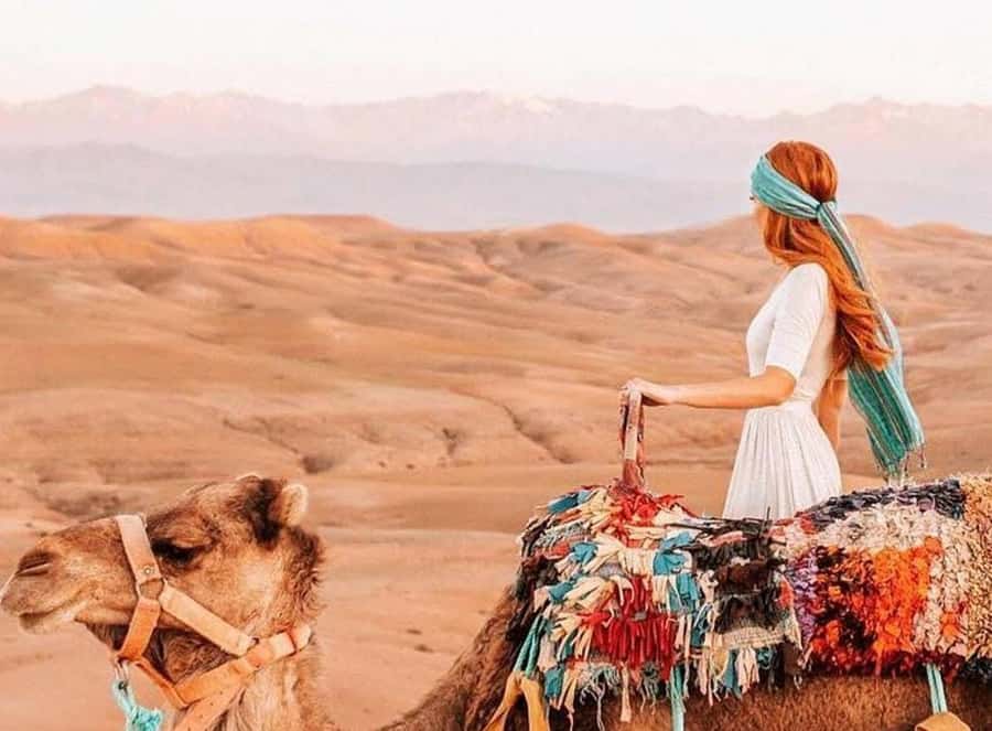 Marrakech: Sunset Dinner in Agafay Desert with Camel Ride - Argan oil cooperative stop, tea and tastings that feel useful