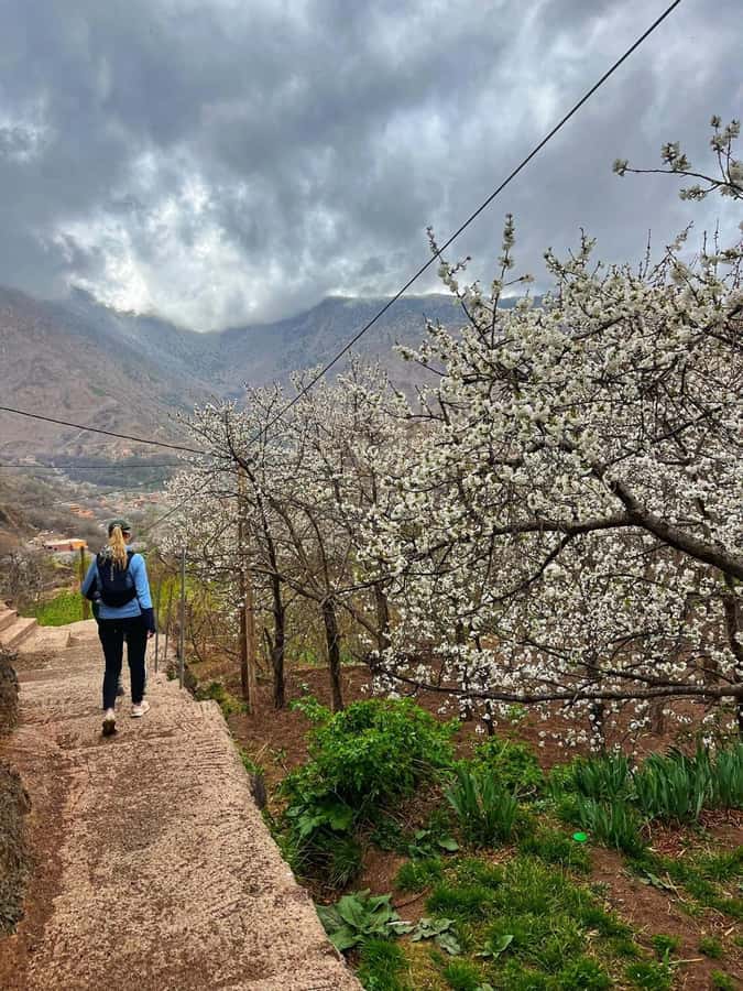 Marrakech: Tedli Summit Atlas Mountains Day Hike & Lunch - Key highlights to look forward to