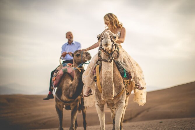 Marrakech: Three Valleys, Atlas, Camel Ride, Waterfalls, & Lunch - A High Atlas Day That Feels Human, Not Rushed