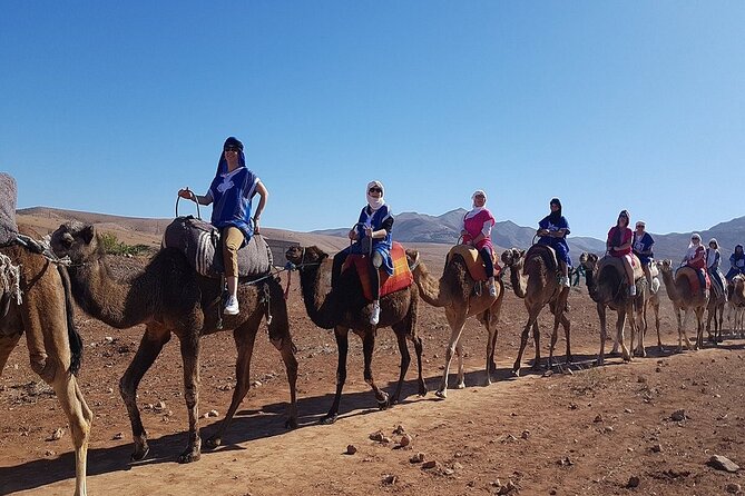 Marrakech: Three Valleys, Atlas, Camel Ride, Waterfalls, & Lunch - Who This Tour Fits Best (And Who Might Prefer Something Else)