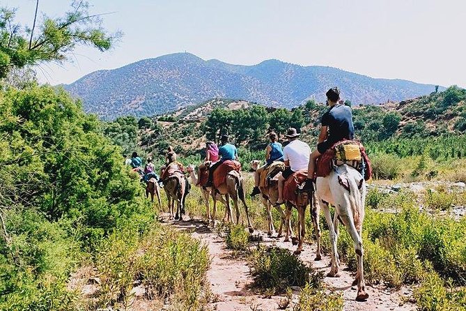 Marrakech to Atlas Mountains and 4 Valleys Day Trip - Marrakech to the Atlas: Why This Day Trip Feels More Local