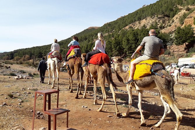 Marrakech to Atlas Mountains and 4 Valleys Day Trip - The Camel Ride Across the Atlas Area: Fun Experience, Real Consideration
