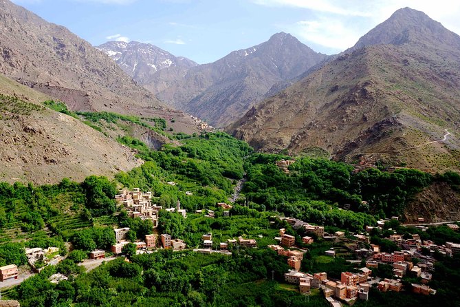 Marrakech to Atlas Mountains and 4 Valleys Day Trip - Price and Value: Is $92.92 Worth a Full Day?