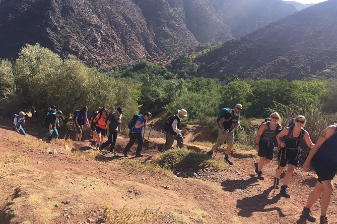 Marrakech to Atlas Mountains and 4 Valleys Day Trip - Small Details That Affect Your Day (In Good and Bad Ways)