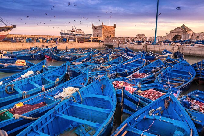 Marrakech to Essaouira: Day of Discovery Along Morocco Coastal - Key highlights worth your attention