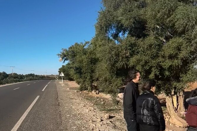 Marrakech to Essaouira / Small group day tour To Essaouira - Panoramic view stop, easing from countryside to seaside