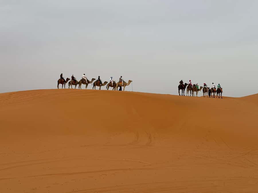 Marrakech To Fes: 3-Day Majestic Desert Sahara Tour - Drive to Fes and the final drop-off timing