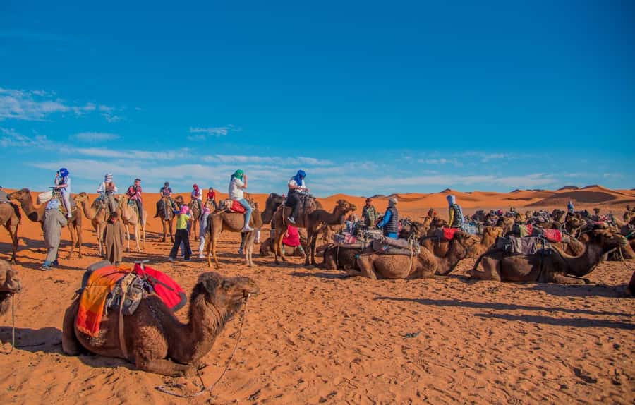 Marrakech to Fes: 3-Day Merzouga Desert Camel & Sandboarding - Ait Benhaddou and Ouarzazate, kasbah walls and movie-land streets