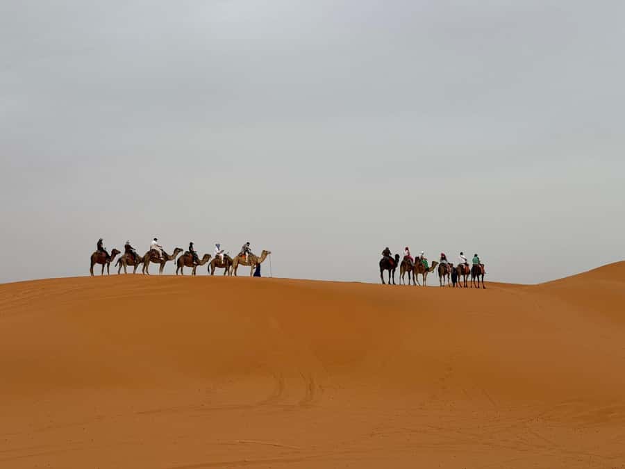 Marrakech to Fes 3-Day Sahara Desert Tour - Key highlights that make this tour work
