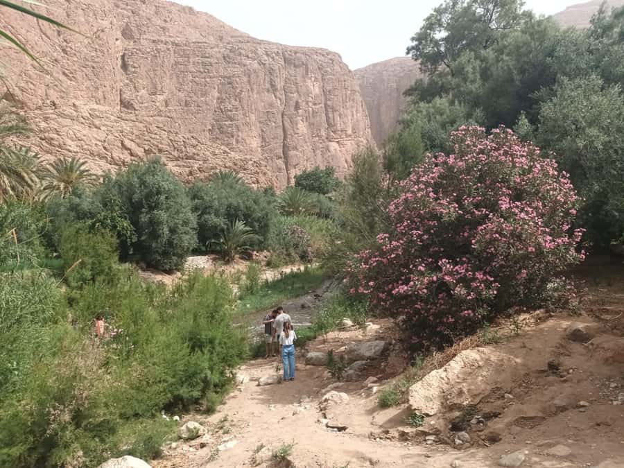 Marrakech to Fes 3-Day Sahara Desert Tour - Price and value: is $118 a smart deal?