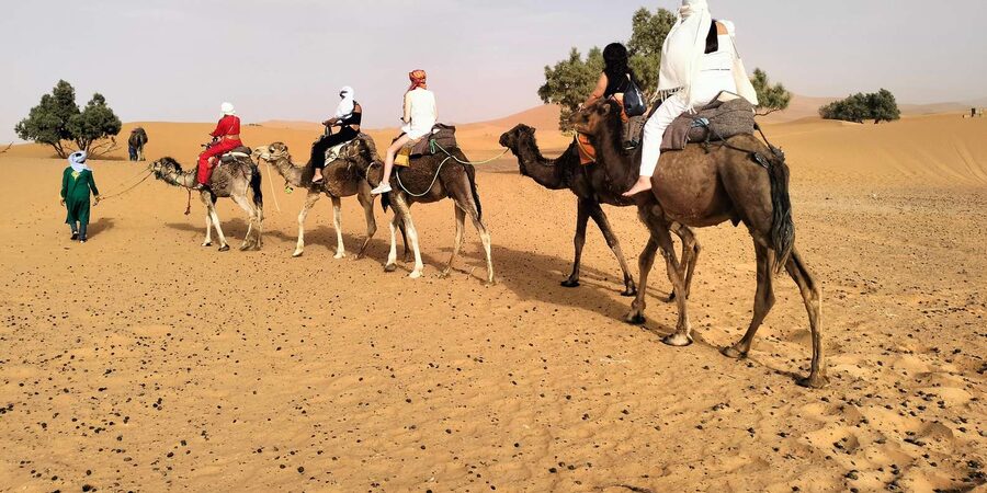 Marrakech to Fes 3 Days Sahara Desert Tour With Camel & Quad - Day 3: Merzouga sunrise, quad biking, Ziz Valley views, cedar forest near Azrou, and arrival in Fez