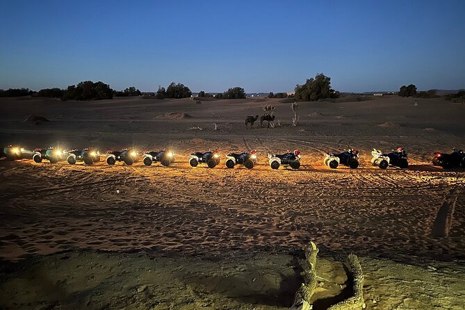 Marrakech to Fes Adventure: Uncover the Heart of Morocco - Price and what you really get for $313.59