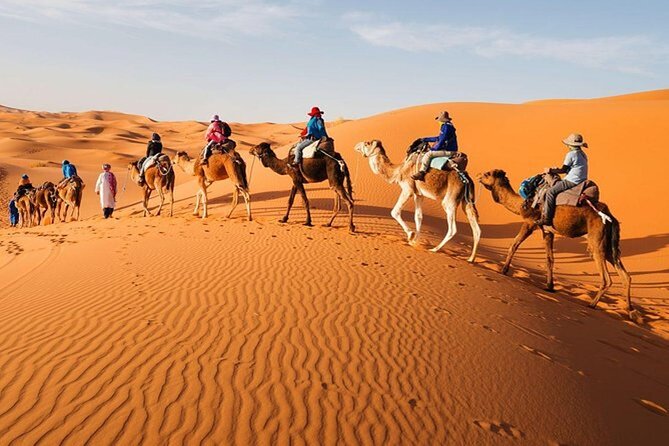 Marrakech to Fes Adventure: Uncover the Heart of Morocco - Camel trek plus sandboarding: the fun part, with a practical mindset