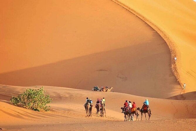 Marrakech to Fez via Merzouga Desert 3-Days | Marrakech-to-Fes - Key points before you go