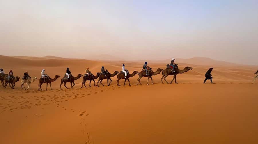 Marrakech to Merzouga: 3-Day Desert Adventure - Who should book this Marrakech to Merzouga adventure