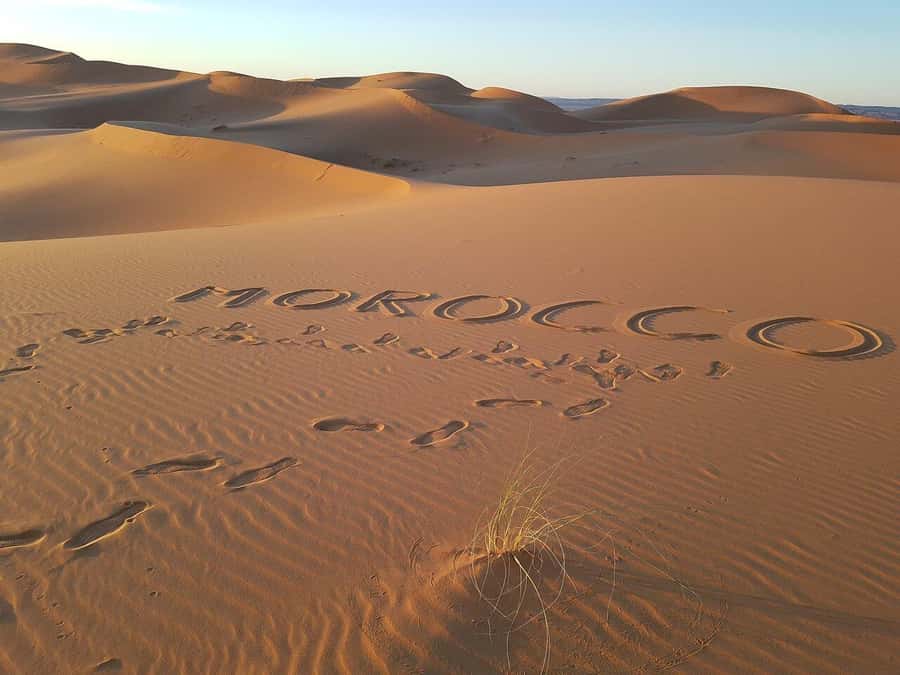 Marrakech to Merzouga: 3-Day Desert Adventure - Day 3: sunrise camels, then the long return to Marrakech
