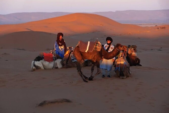 Marrakech to Merzouga 3 Day Desert Safari - Night under Bedouin camp skies: dinner, stars, and one key tradeoff