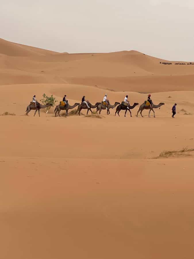 Marrakech To Merzouga : 3-Day Dreams Tours & Luxury Camp - Should you book this Marrakech to Merzouga luxury camp tour?