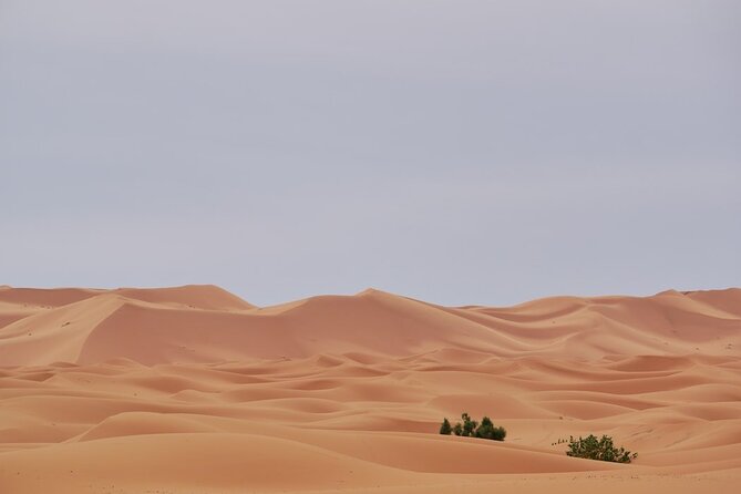 Marrakech to Merzouga 3 days Desert Tour - Price and value: what $565.61 buys you in real terms