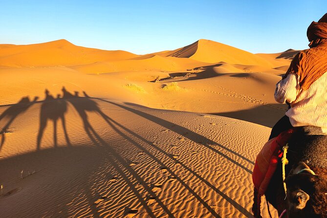 Marrakech to Merzouga: 4 Day Adventure with 2 Nights in Desert - Price and Inclusions: What You Actually Get for $300