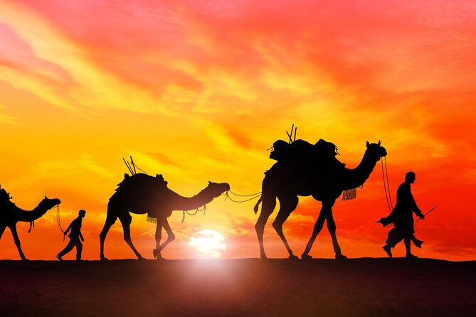 Marrakech to Merzouga Desert 3-Day via the High Atlas Mountains - Value and practical expectations for $127.45