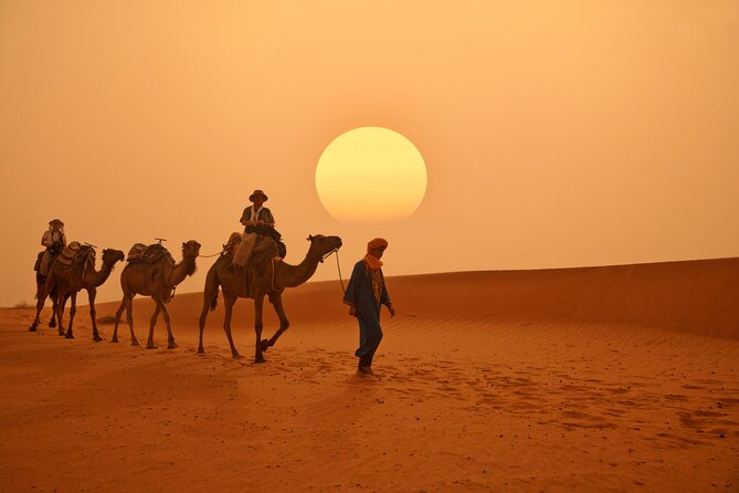 Marrakech to Merzouga Desert 3-Day via the High Atlas Mountains - The guide factor: names you might meet and the kind of help that matters