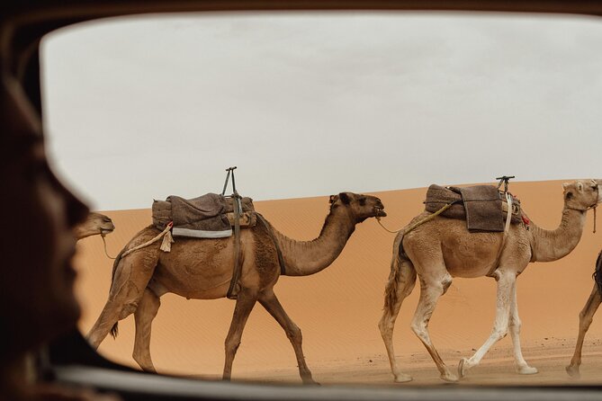 Marrakech To Merzouga Tour - Key Highlights You Will Feel