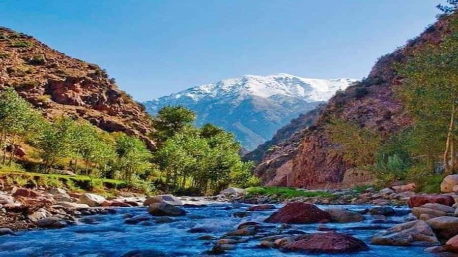 Marrakech to Ourika Valley-Scenic Day Tour Lunch & Waterfal - 5 key reasons this Ourika Valley tour works so well