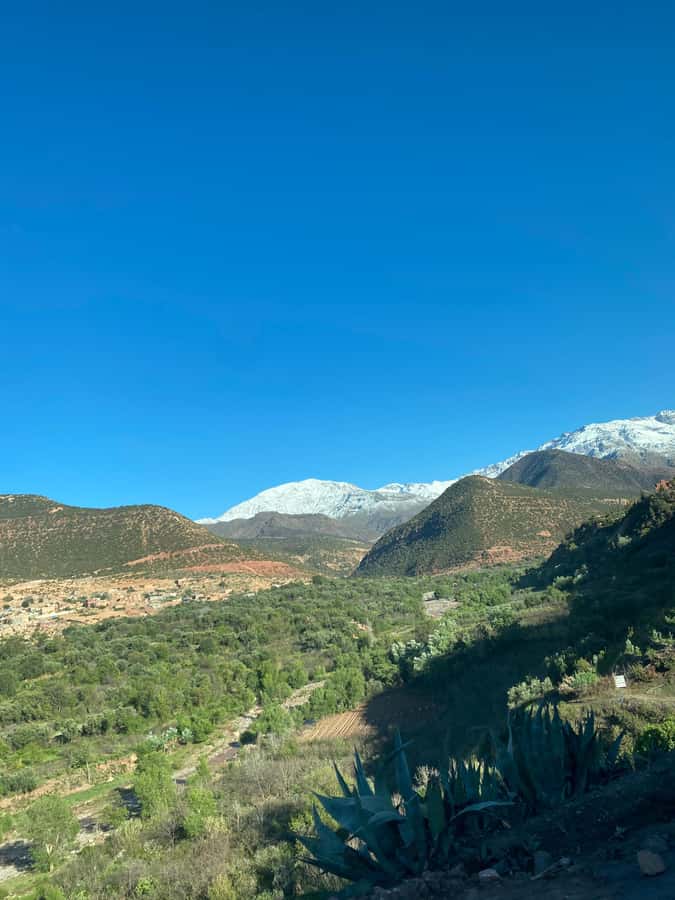 Marrakech to Ourika Valley-Scenic Day Tour Lunch & Waterfal - Who should book the Ourika Valley waterfall day trip
