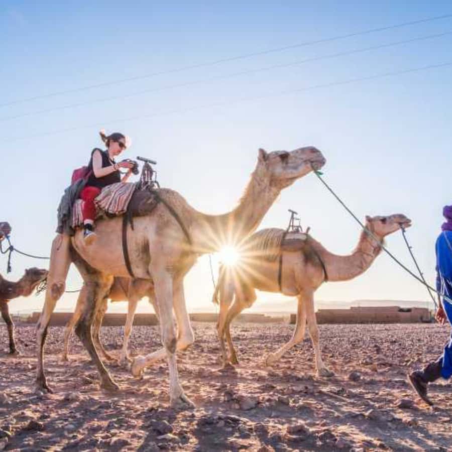 Marrakech to Zagora:2-Day Luxury Sahara Tour with Camel Ride - Price and value: what $56 realistically covers