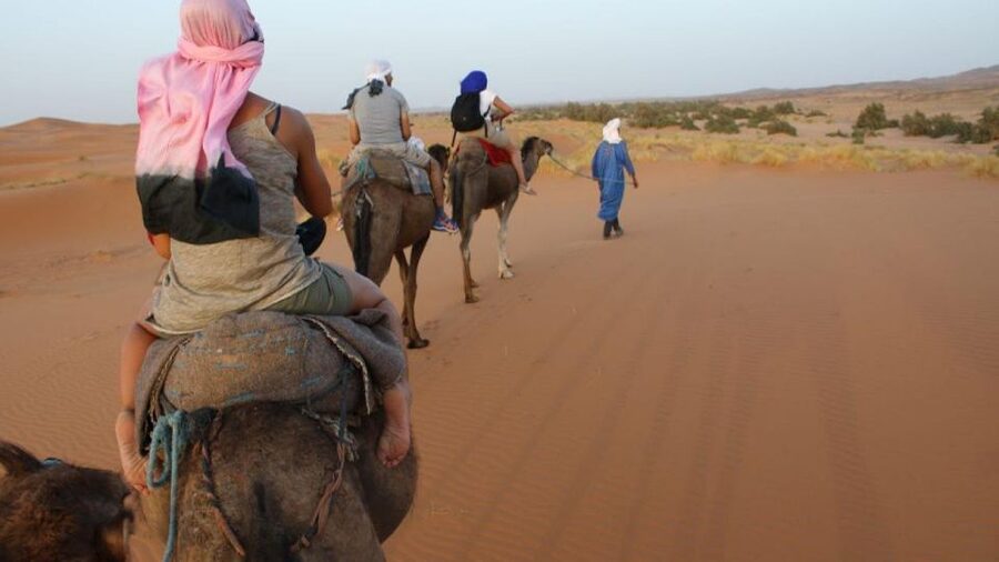 Marrakech to Zagora:2-Day Luxury Sahara Tour with Camel Ride - Packing for Zagora: sun all day, cold at night