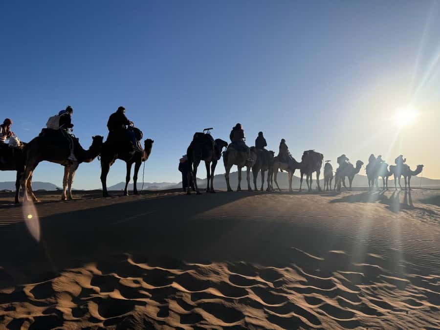 Marrakech to Zagora:2-Day Luxury Sahara Tour with Camel Ride - Tizi n Tichka Pass and Berber villages you can actually spot
