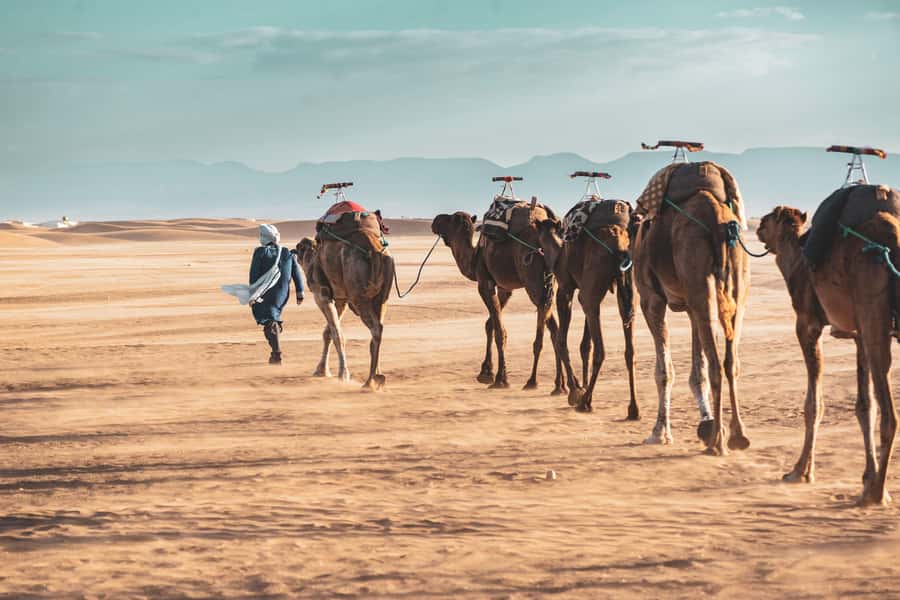Marrakech to Zagora Desert: 2-Day trip via Ait Benhadou - Ait Benhaddou UNESCO kasbah: why this stop is the anchor