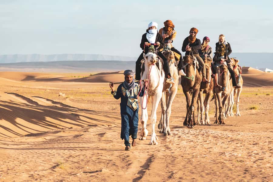 Marrakech to Zagora Desert: 2-Day trip via Ait Benhadou - Draa Valley on the way to Zagora: palms, kasbahs, and a breather