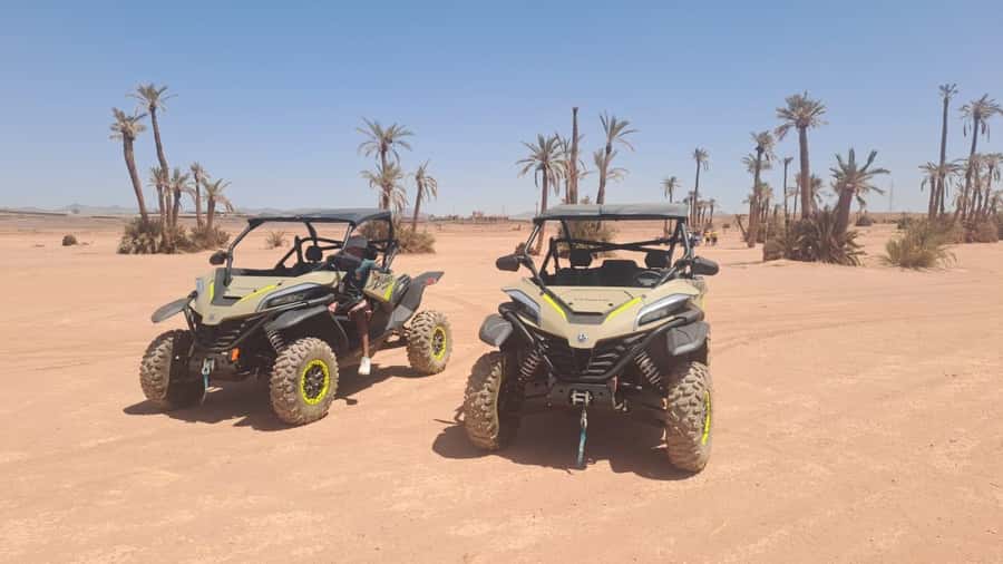 Marrakech: Tour Buggy 1000cc In Palm Oasis and Jbilat Desert - From your hotel in Marrakesh to the palm oasis start