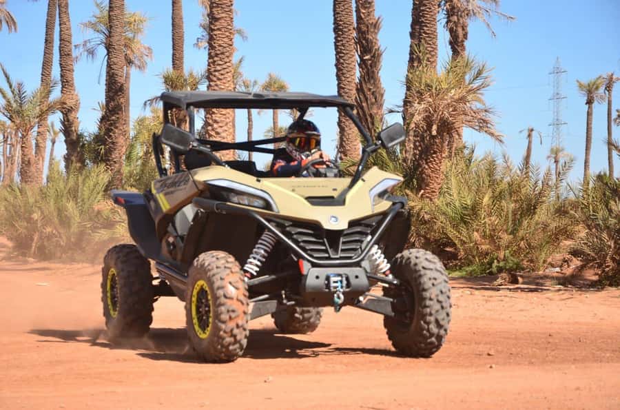 Marrakech: Tour Buggy 1000cc In Palm Oasis and Jbilat Desert - Buggy time through Palmeraie and toward the Jbilat desert tracks