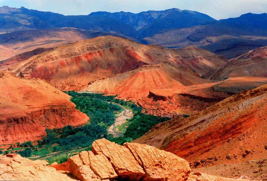 Marrakech: UNESCO Kasbahs and Telouet Green Valley Day Trip - Key things I’d focus on