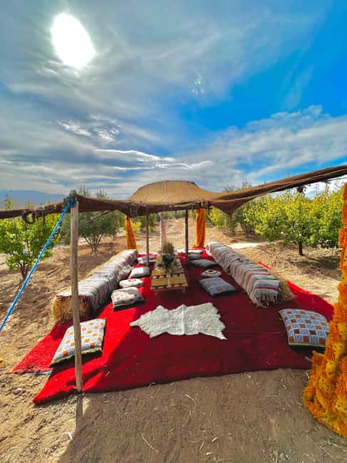 Marrakech: Waterfall, Valley, Atlas Mountain, Camel & Desert - Guides, drivers, and how the day stays personal