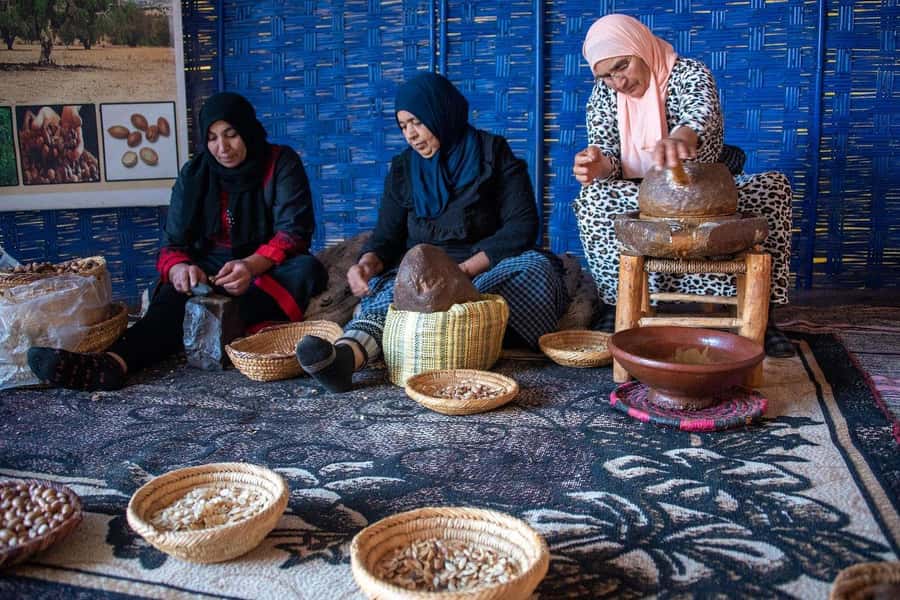 Marrakech: Waterfall, Valley, Atlas Mountain, Camel & Desert - Argan cooperative and Tahanout village: tea, tastings, and real work