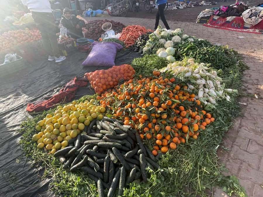 Marrakech: Waterfall, Valley, Atlas Mountain, Camel & Desert - Imlil Valley walk: villages, photos, and the 2.5-hour reality check