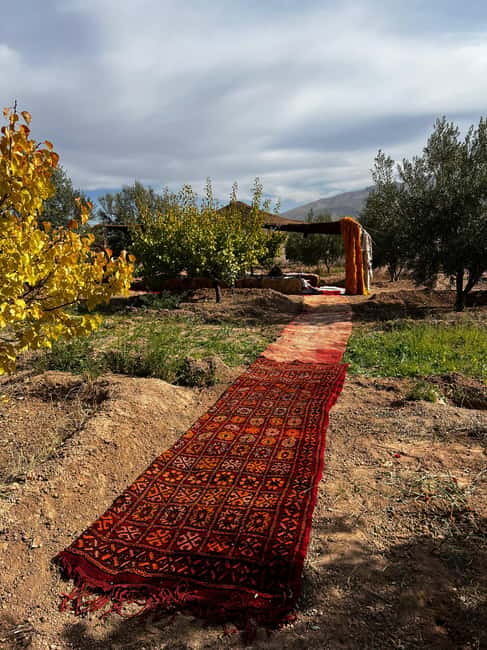 Marrakech: Waterfall, Valley, Atlas Mountain, Camel & Desert - The best lunch stop: a Berber home-cooked meal with a view