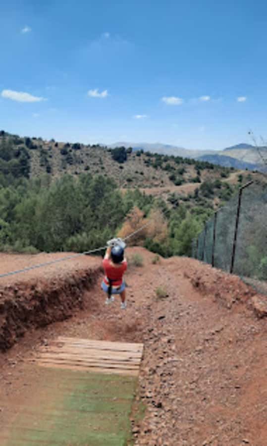 Marrakech: Zip-Line in the Atlas Mountains & Berber villages - Zip Lining the Pine Forest: How Four Runs Change Your View