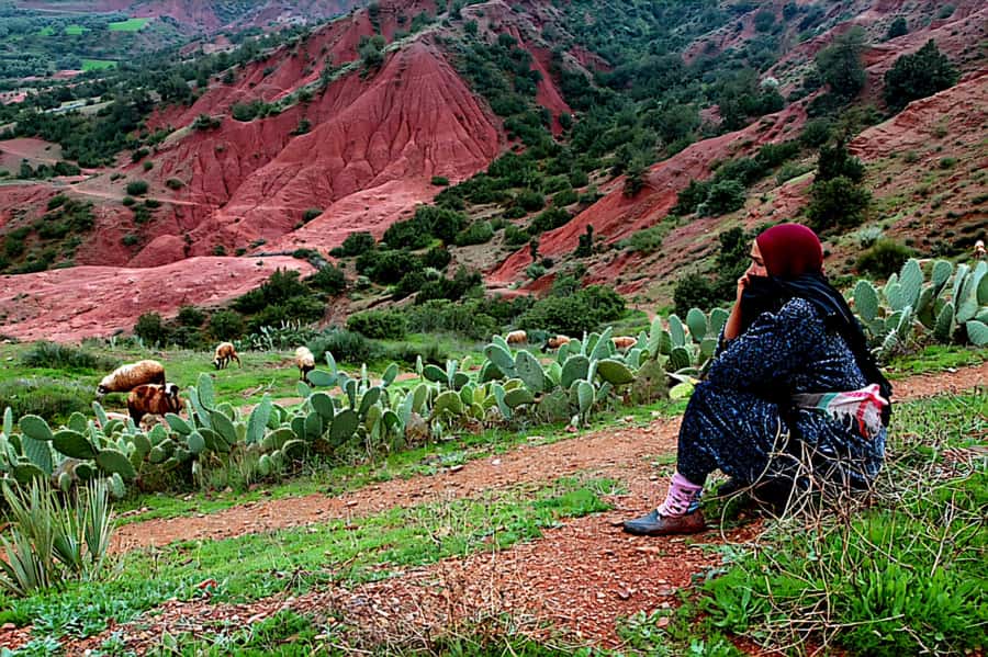 Marrakech: Zipline and Breakfast in the Atlas Mountains - The 4-hour flow: a half-day that fits Marrakech plans