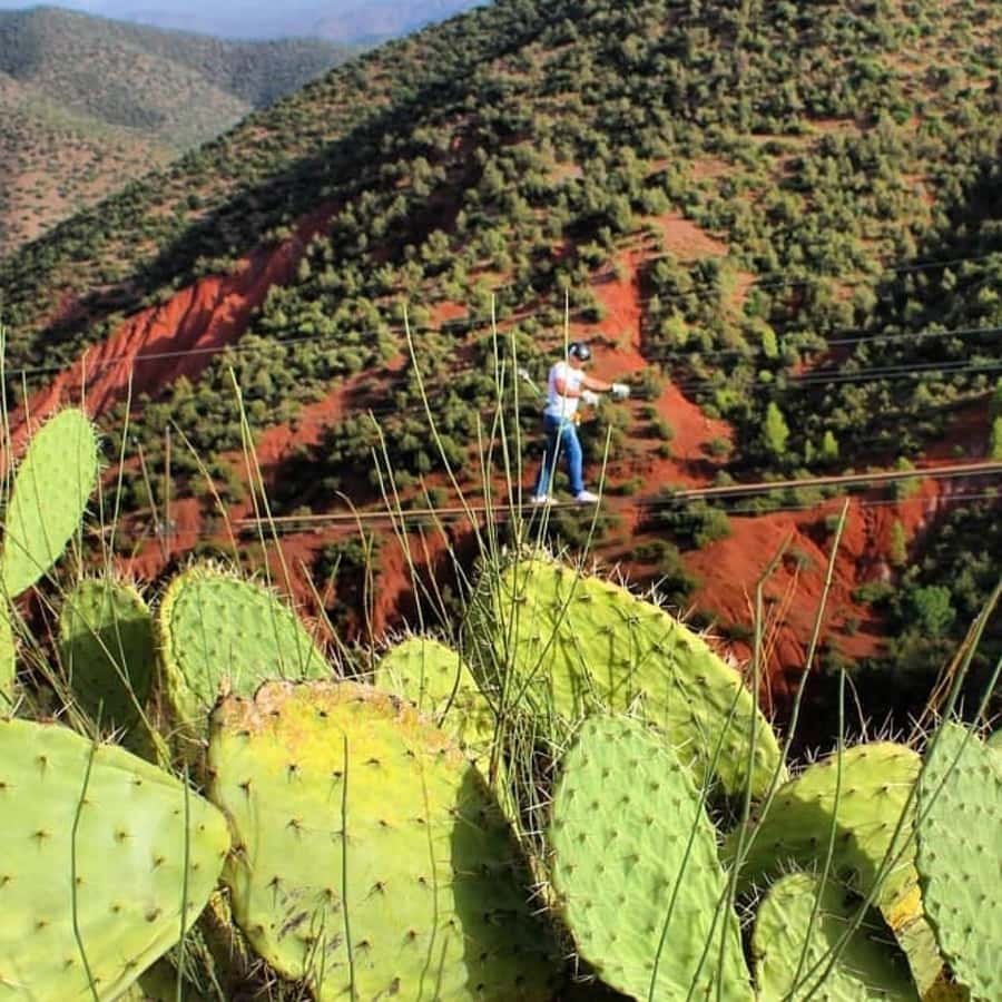 Marrakech: Zipline and Breakfast in the Atlas Mountains - Price and value: why $81 can make sense here