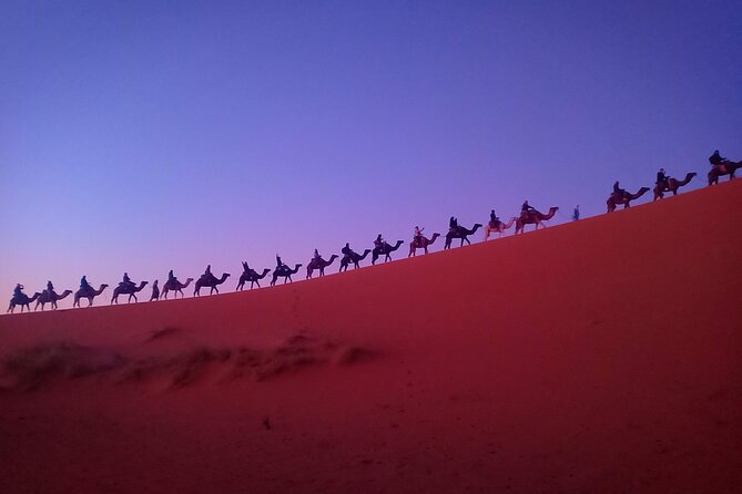Marrakesh 3 Days Tour to Fez with Overnight Desert Camping - Day 2: Todra Gorges walk, Merzouga camel rides, and camp life in Erg Chabbi