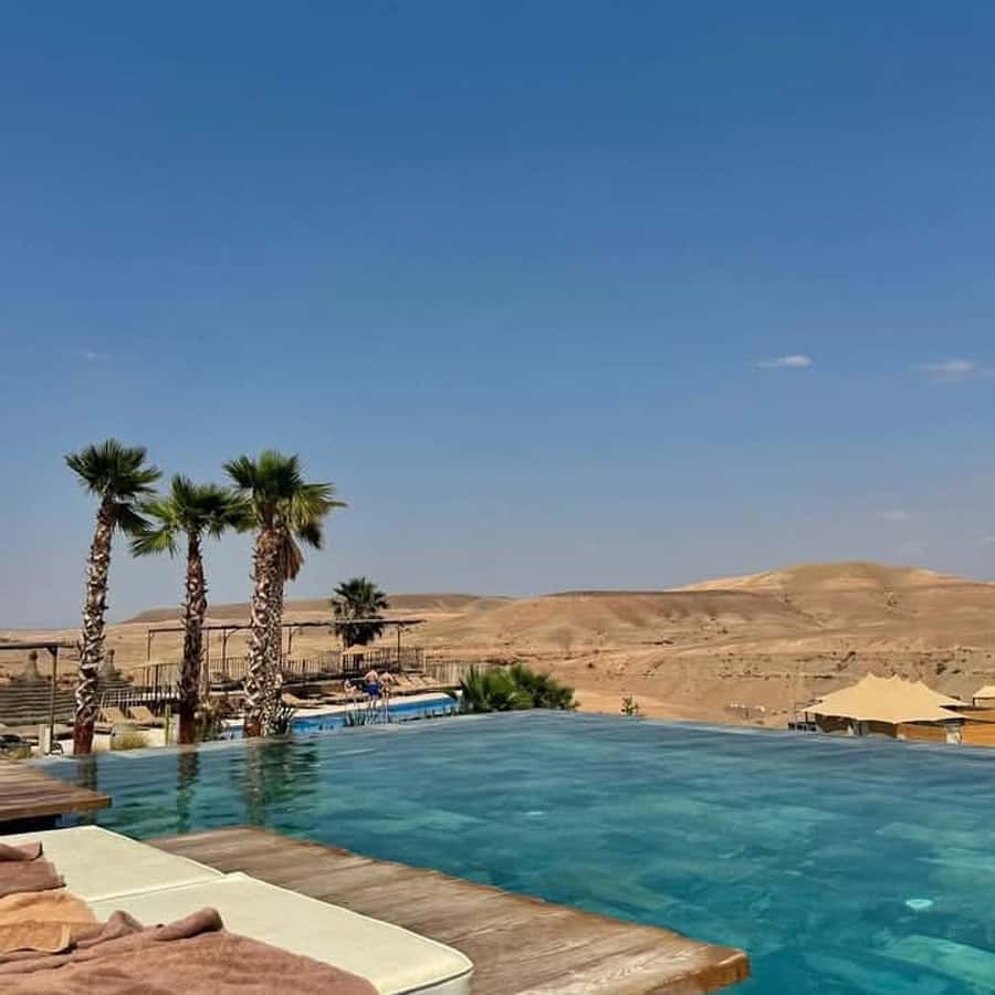 Marrakesh: Agafay Desert Tour with Lunch and Swimming Pool - The Argan oil women’s cooperative stop: tea, samples, and a real purpose