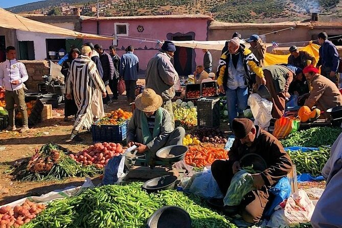 Marrakesh: Atlas Mountains Tour with a Guide - Berber hamlets and village time: what you should look for