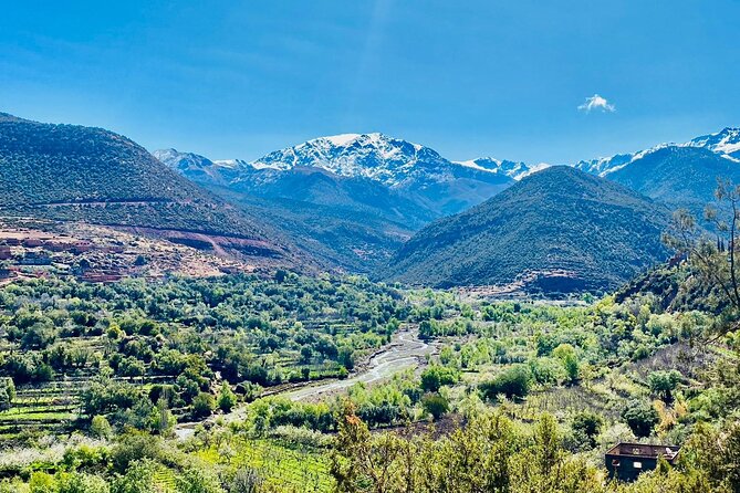Marrakesh: Atlas Mountains Tour with a Guide - Asni market stop: your chance to see weekly local life