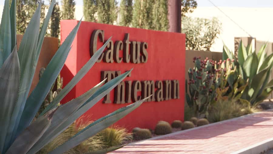 Marrakesh: Cactus Thiemann Entry Ticket - A Day Plan That Keeps It Easy