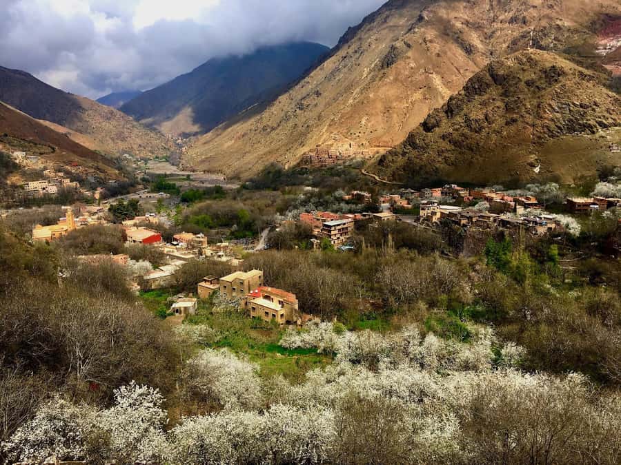 Marrakesh: Desert & Mountain Tour with Camel Ride & Lunch - Ait Souka Village lunch: home-cooked and one of the best value stops